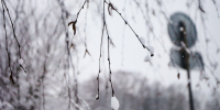 Фото: ПАИ - InformPskov.Ru