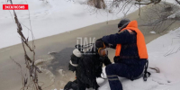 Тело мужчины обнаружили в реке в Великолукском районе - InformPskov.Ru
