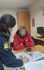 Уголовное дело и изъятие имущества: меры против неплательщика алиментов в Псковской области