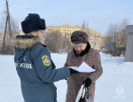 Специалисты ОНДиПР провели профилактический рейд на  территории города  Пскова