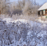 Фото: ПАИ - InformPskov.Ru