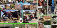 Фото предоставила Юлия Миронова - InformPskov.Ru