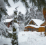 JPG Файл - УМВД Псковской области