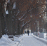 Фото: ПАИ - InformPskov.Ru