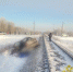 ДТП в Локнянском районе - InformPskov.Ru