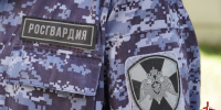 В Дедовичах сотрудники Росгвардии задержали подозреваемого в краже - Росгвардия