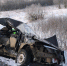 ДТП с поездом в Локнянском районе 18 января. Фото: ПАИ - InformPskov.Ru