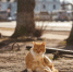 Фото: ПАИ - InformPskov.Ru
