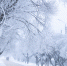 Фото: ПАИ - InformPskov.Ru