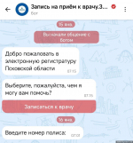 Псковичи могут записаться к врачу через национальный мессенджер Max