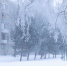 Фото: ПАИ - InformPskov.Ru