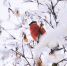 Фото: ПАИ - InformPskov.Ru