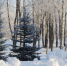 Фото: ПАИ - InformPskov.Ru
