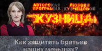 «Кузница»: Как защитить братьев наших меньших? - Pln-Pskov.Ru