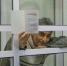 Апелляция Шлосберга / Дело о «потерянных плашках иноагента» - Яблоко
