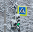 Фото: ПАИ - InformPskov.Ru