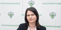 За год в Псковской области выявили нарушения почти на 90 тысячах га сельхозземель  - Pln-Pskov.Ru