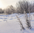 Фото: ПАИ - InformPskov.Ru