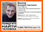 Мужчина в серой куртке пропал в Пушкинских Горах