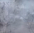 Утечку на водоводе на улице Ижорского Батальона в Пскове локализовали без отключения потребителей - Pln-Pskov.Ru