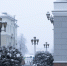 Фото: Екатерина Иванова / ПАИ - InformPskov.Ru
