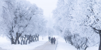 Фото: ПАИ - InformPskov.Ru