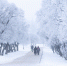 Фото: ПАИ - InformPskov.Ru