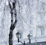 Фото: Екатерина Иванова / ПАИ - InformPskov.Ru