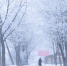 Фото: ПАИ - InformPskov.Ru