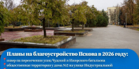 Фото: из телеграм-канала Бориса Елкина - InformPskov.Ru