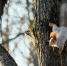 Фото: ПАИ - InformPskov.Ru