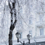 Фото: ПАИ - InformPskov.Ru