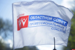 Профсоюзный дайджест-2025: Яркий год псковского облсовпрофа