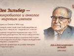 Псковские исследователи и их открытия: рассказываем в карточках