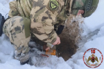 В Пскове росгвардейцы обезвредили артиллерийский снаряд времен Великой Отечественной войны
