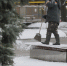 Фото: ПАИ - InformPskov.Ru