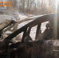 Автомобиль Opel Zafira горел в псковской Стремутке - Pln-Pskov.Ru