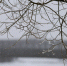 Фото: ПАИ - InformPskov.Ru