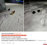 Что псковичей действительно волнует: интернет как зеркало реальной жизни