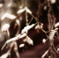 Фото: ПАИ - InformPskov.Ru