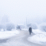 Фото: ПАИ - InformPskov.Ru