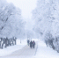 Фото: ПАИ - InformPskov.Ru