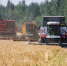Фото: ПАИ - InformPskov.Ru