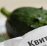 Фото сгенерировано ИИ - InformPskov.Ru