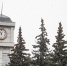 Фото: ПАИ - InformPskov.Ru