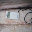 Более пяти тысяч тон животноводческой продукции экспортировали из Псковской области с начала февраля - Псковская правда