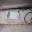 107 партий свиных субпродуктов отправили из Псковской области в Китай, Вьетнам и на Филиппины - Pln-Pskov.Ru