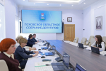 Профильные вопросы рассмотрел экономический комитет
