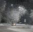 Фото: ПАИ - InformPskov.Ru