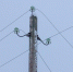 Налипание мокрого снега на провода ожидается в Псковской области 3 марта - Pln-Pskov.Ru